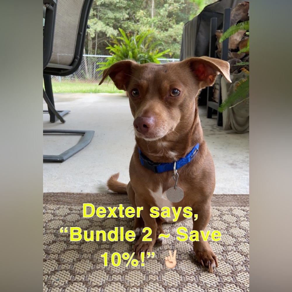 Offers welcome